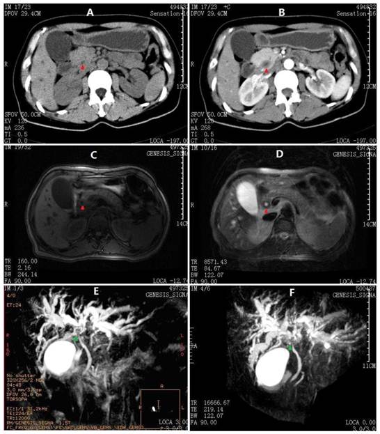 Int J Med Sci Image