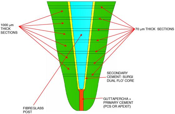 Int J Med Sci Image