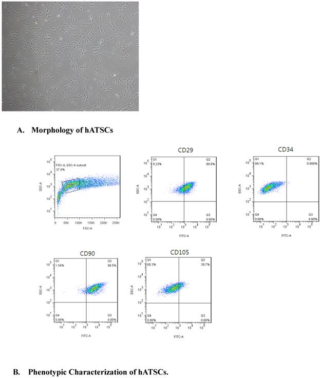 Int J Med Sci Image