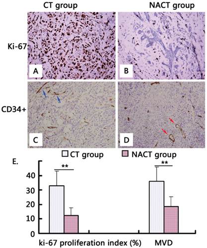 Int J Med Sci Image