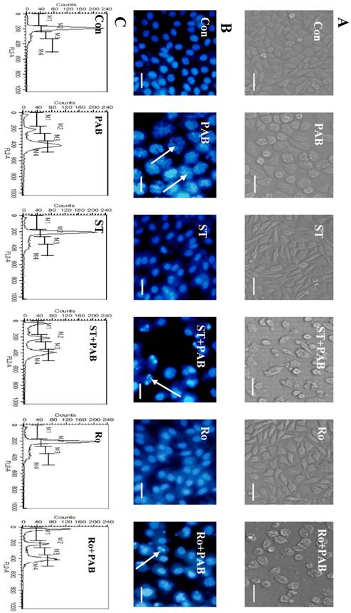 Int J Med Sci Image