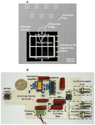 Int J Med Sci Image