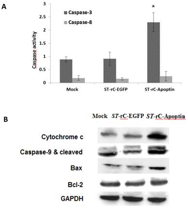 Int J Med Sci Image