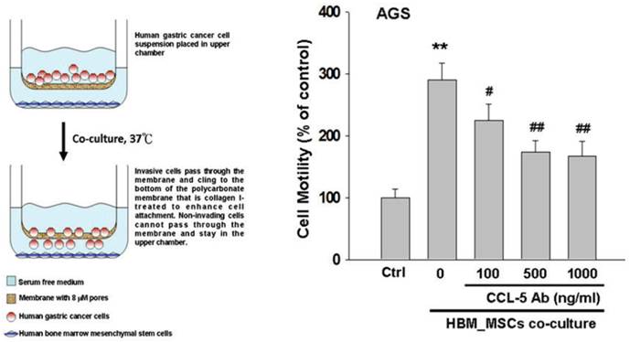 Int J Med Sci Image