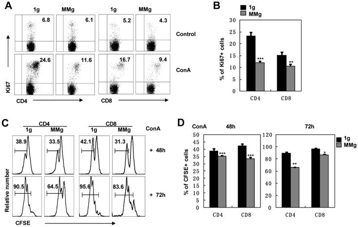Int J Med Sci Image
