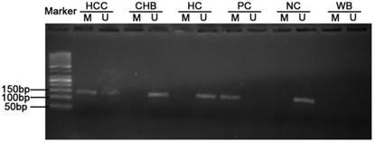 Int J Med Sci Image