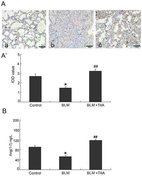 Int J Med Sci Image