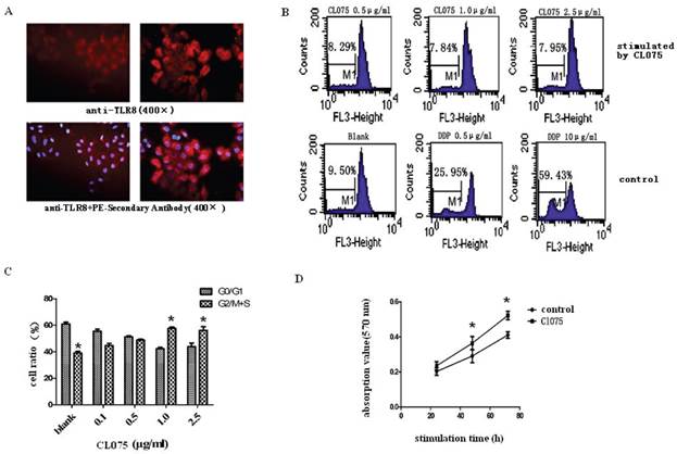 Int J Med Sci Image