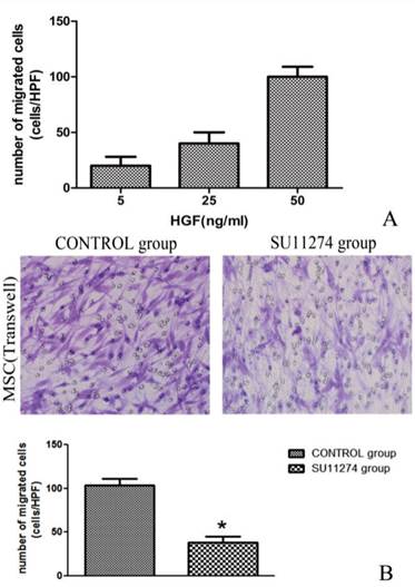 Int J Med Sci Image