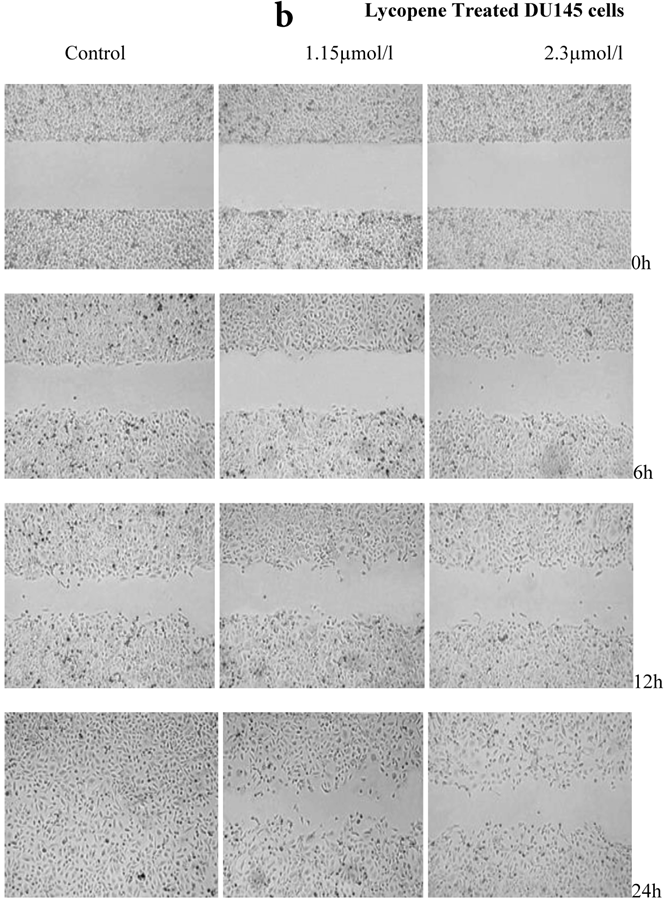 Int J Med Sci Image