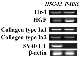 Int J Med Sci Image