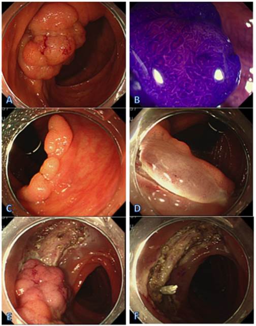Int J Med Sci Image