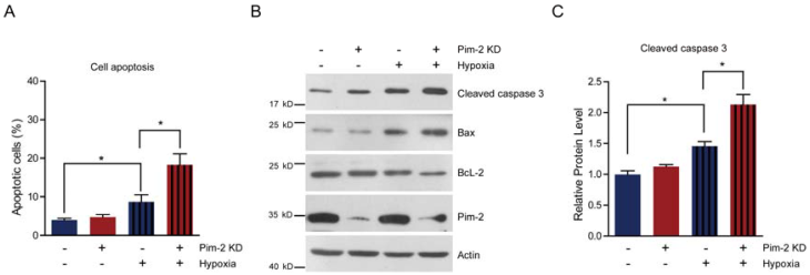 Int J Med Sci Image