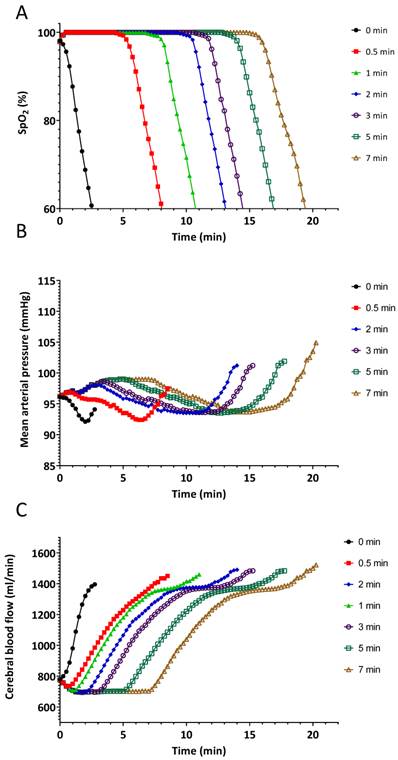 Preventing and Treating Hypoxia: Using a Physiology Simulator to ...