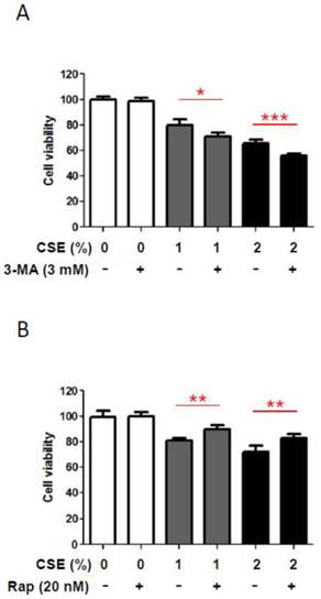 Int J Med Sci Image