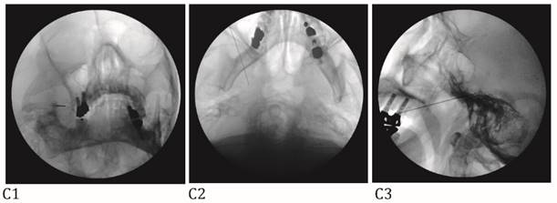 Int J Med Sci Image