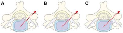 Int J Med Sci Image