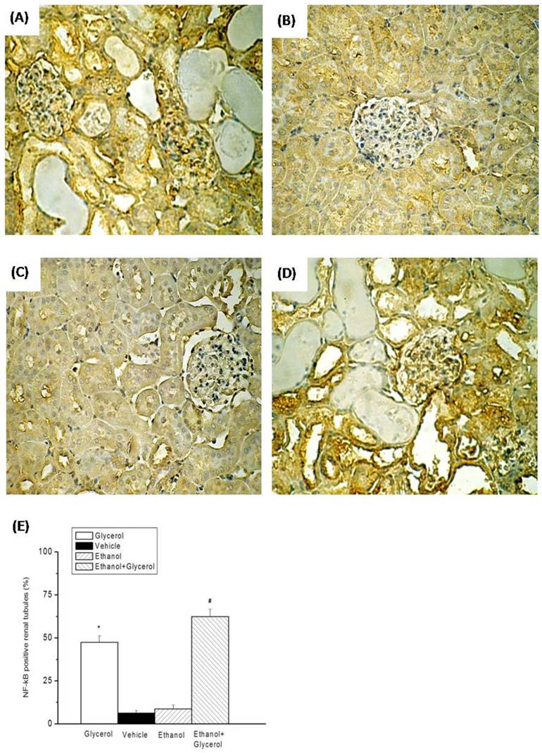 Int J Med Sci Image