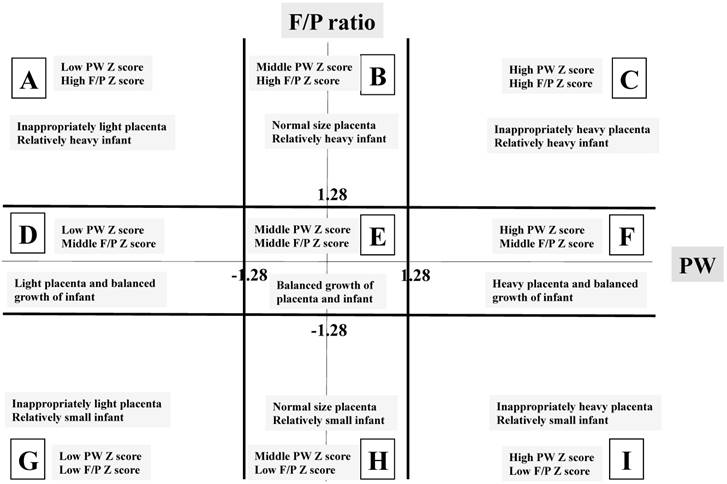 Placental Size Chart