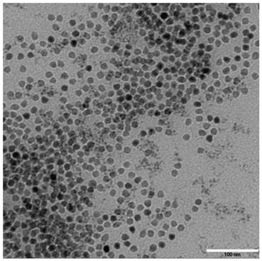 Int J Med Sci Image