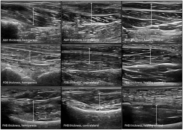 Int J Med Sci Image
