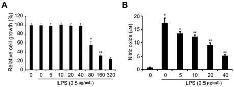Int J Med Sci Image