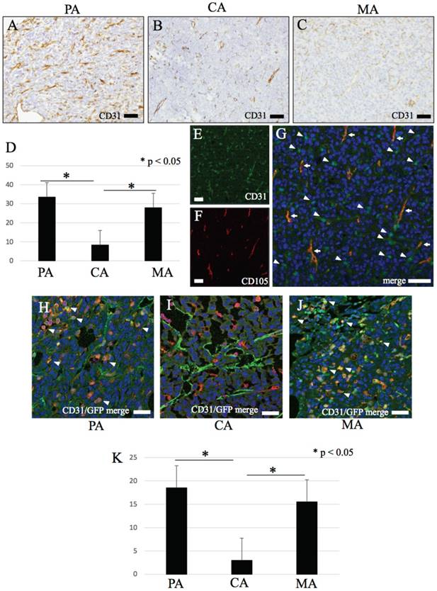 Int J Med Sci Image