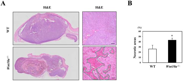Int J Med Sci Image