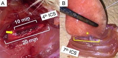 Int J Med Sci Image