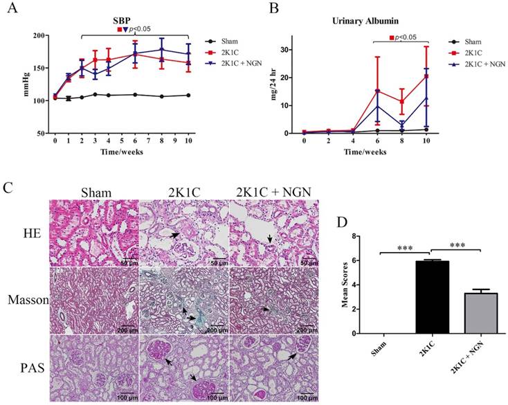 Int J Med Sci Image