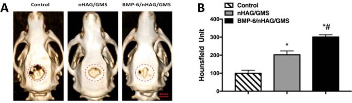 Int J Med Sci Image