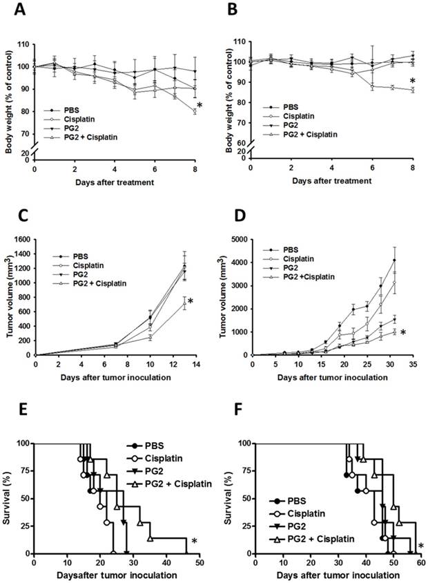 The extracts of Astragalus membranaceus enhance chemosensitivity and reduce tumor indoleamine 2