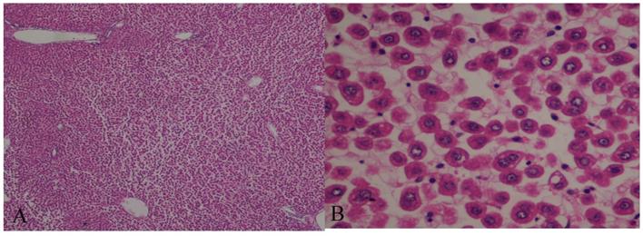 Int J Med Sci Image