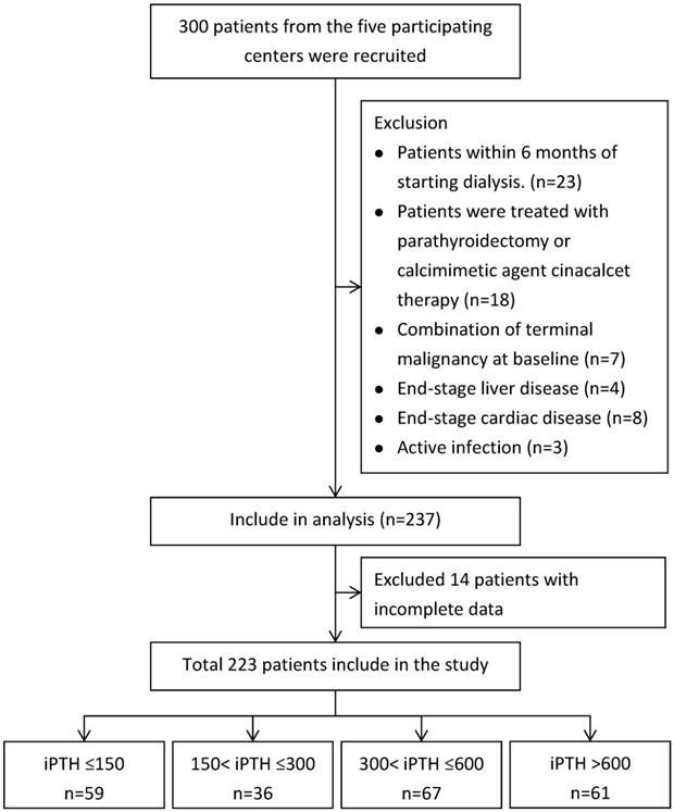 Hypoalbuminemia Differently Affects The Serum Bone Turnover