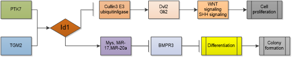 Int J Med Sci inline graphic