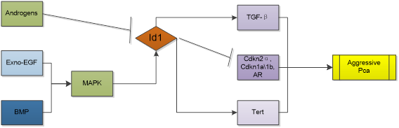 Int J Med Sci inline graphic