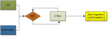 Int J Med Sci inline graphic