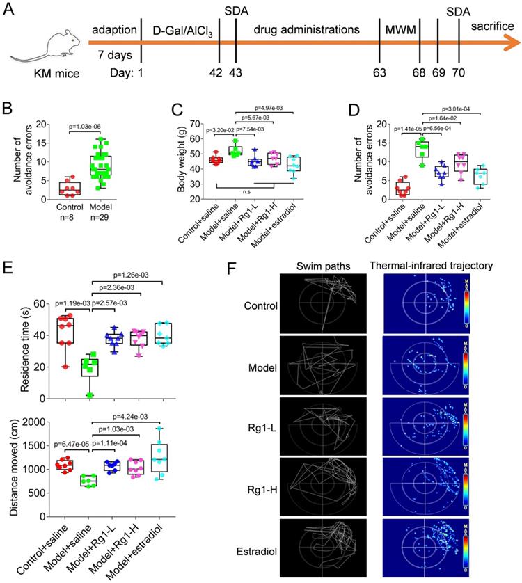 Int J Med Sci Image