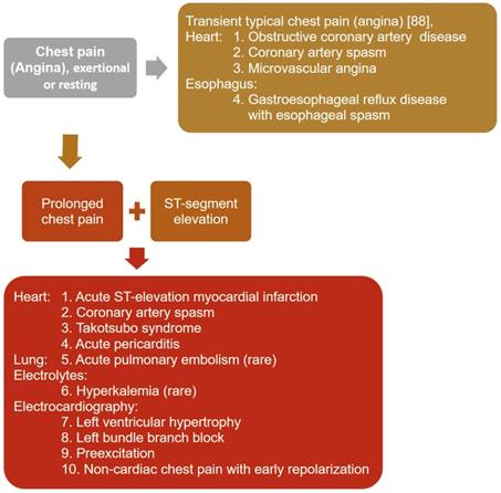 Myocardial Ischemic Syndromes Heart Failure Syndromes Electrocardiographic Abnormalities Arrhythmic Syndromes And Angiographic Diagnosis Of Coronary Artery Spasm Literature Review