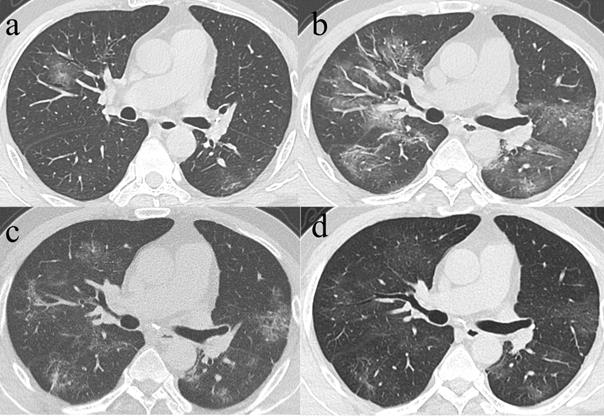 Int J Med Sci Image