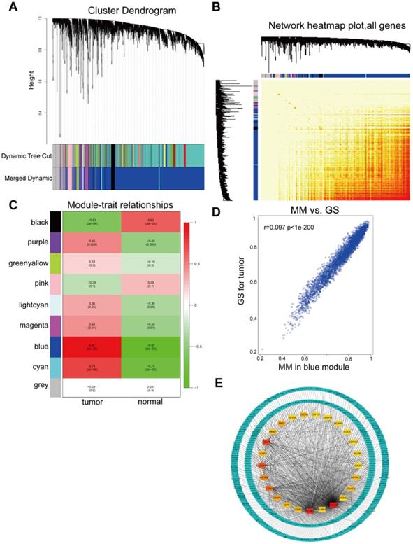 Int J Med Sci Image