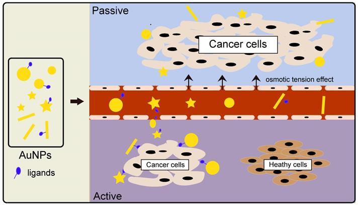Application of Nanotechnology in Cancer Diagnosis and Therapy - A Mini ...