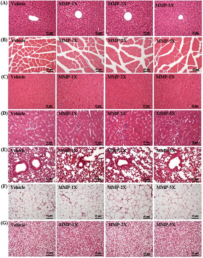 Int J Med Sci Image