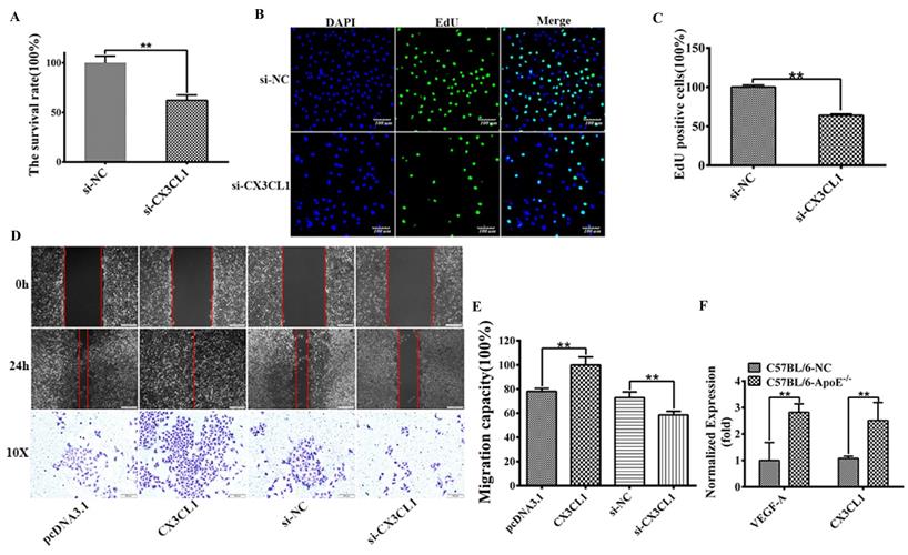 Int J Med Sci Image