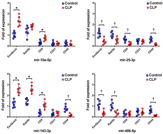 Subpopulations of exosomes purified via different exosomal markers ...