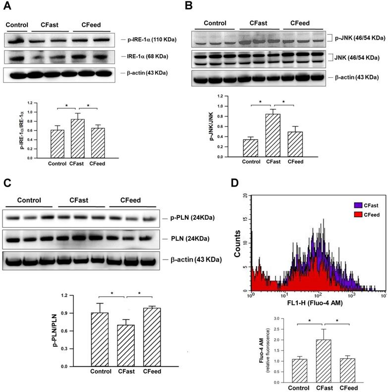 Int J Med Sci Image