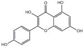 Int J Med Sci inline graphic