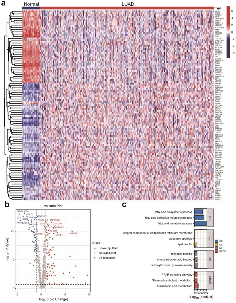 Int J Med Sci Image