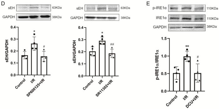 Int J Med Sci Image