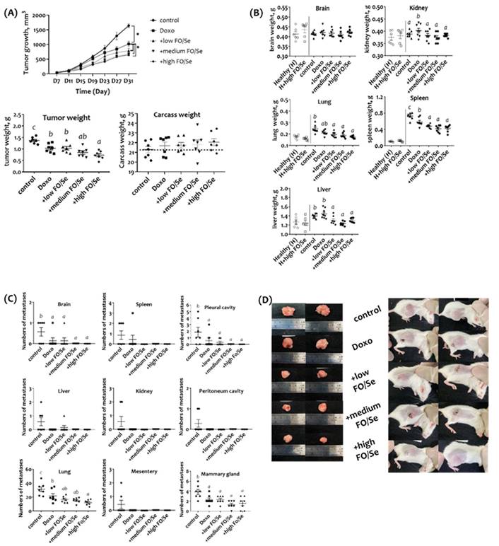 Fish Oil and Selenium with Doxorubicin Modulates Expression of Fatty Acid Receptors and